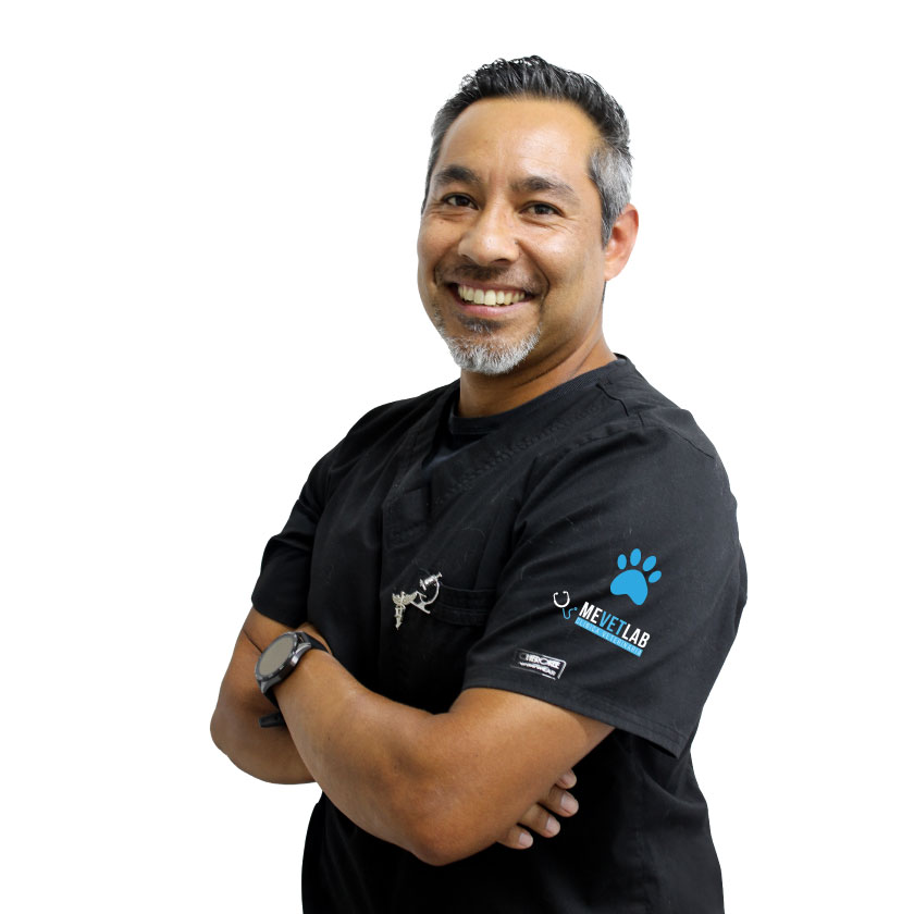 fernando-840x840px fernando-840x840px